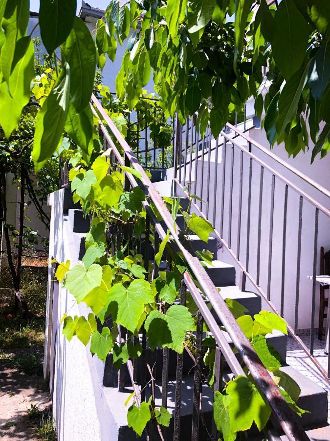 Renata Holiday Apartments Ulcinj Kültér fotó