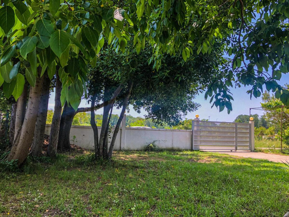 Renata Holiday Apartments Ulcinj Kültér fotó
